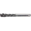Fanar sriegis G 3/8 DIN-5156C R45 HSSE-PM HL MASTERTAP