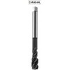 Fanar TAP M10 DIN-376C R40 (6H) HSSE HL INOX