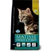 FARMINA MATISSE - CAT Dry su vištiena ir kalakutiena 400g