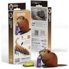 Fat Brain Toys EUGY 3D kartoninis modelis „Bebras“