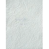 Gracia Federal PAINTABLE WALLPAPER 2522-01 B98
