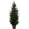Fééric Lights and Christmas Dirbtinė eglutė cementiniame vazonėlyje, 150 cm