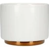Cappuccino cup Fellow Monty Milk Art Matte Baltas, 190 ml