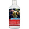 Femanga Algen Stopp General 1000 ml
