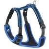 Ferplast Ergocomprese P Braces M mėlyna