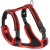 Ferplast Ergocomprese P Braces S raudona