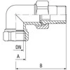 Ferro 5/4 "žalvarinė jungtis SGU10