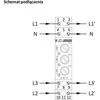 F&amp;F LK-BZ-3 G 3x230 V + N 2892