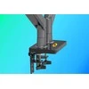 Fiber Novelty XXX_NeoMounts (Neomounts) Stalo laikiklis 2 monitoriams, 22" - 32" (G35)