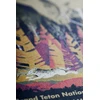 Field Notes „Grand Notes“ JAV nacionaliniai parkai: Grand Teton, Arches, Sequoia 3 vnt.