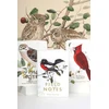 Field Notes Užrašinė Field Notes Birds and Trees of North Americ