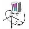 Mikrofonas Fifine A6VW AmpliGame