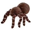 Beppe Pająk ruda 15 cm 14303 25210
