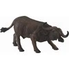 Collecta Figūrėlė Afrikinis buivolas (L)