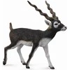 Collecta Figūrėlė - Elniaožė gazelė