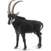 Collecta Figūrėlė - Juodoji antilopė