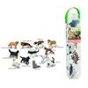 Figūrėlė Collecta COLLECTA BOX Z MINIZWIERZĘTAMI DOMOWYMI