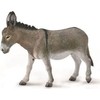 Collecta Surinkti Surinkti BARNAS (BARNAS)