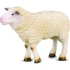 Collecta Figūrėlė Avis (M)