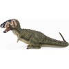 Collecta Dinozauras Daspletosauras (004- 88628)