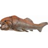Collecta Figūrėlė - "Dunkleosteus"