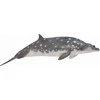 Collecta Figūrėlė - Blenvilio dvidantis