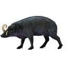 Collecta Figūrėlė - Babirusa