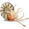 Collecta Figūrėlė - Pleuroceras