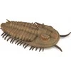 Collecta Surinktos Surinktos figūros