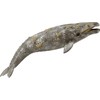 COLLECTA pilkasis banginis, 88836