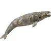 COLLECTA pilkasis banginis, 88836