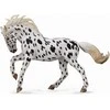 Collecta Figūrėlė Knabstrupper veislės arklys (XL)