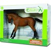 Collecta Surinkti objektai