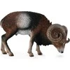 Collecta Figūrėlė - Europinis muflonas