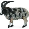 Collecta Figūrėlė -  Jokūbo avis