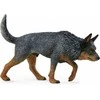 Collecta Figūrėlė - Australų piemenų šuo