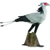 Collecta Figūrėlė - Paukštis sekretorius