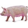 Collecta Figūrėlė Kiaulė (M)
