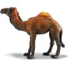Collecta Figūrėlė - Vienkupris kupranugaris