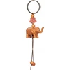 Dromader Dromedary Pakabutis dramblio kaina 12vnt 01316 13168