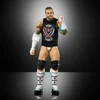 Figūrėlė Mattel Figūrėlė WWE Elite CM Punk JHT46