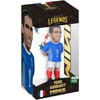 MINIX WC LEGENDS FRANCE - JOURI DJORKAEF