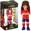 MINIX WC LEGENDS SPAIN - CARLES PUYOL