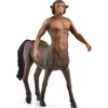 Schleich figūrėlė Firenze, Harry Potter