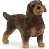 Schleich figūrėlė  Šiurkščiaplaukis taksas