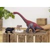 Schleich figūrėlė Juodasis lokys