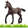 Schleich figūrėlė Paso Peruano veislės kumeliukas