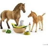 Schleich Horse Club 42432 Sarahs Cub priežiūros rinkinys