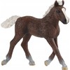 SCHLEICH Juodojo miško arklio kumeliukas