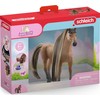 Schleich Figūrėlė arklys Achal Tekkiner Sofia's Beauties su šukomis